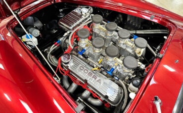 Ford-Shelby-Cobra-1965-Other-10