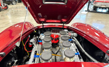 Ford-Shelby-Cobra-1965-Other-11