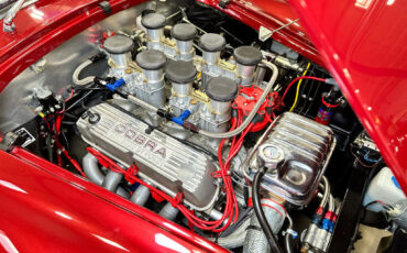 Ford-Shelby-Cobra-1965-Other-12