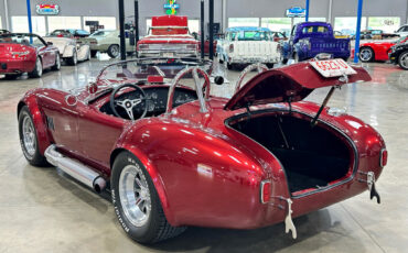 Ford-Shelby-Cobra-1965-Other-13