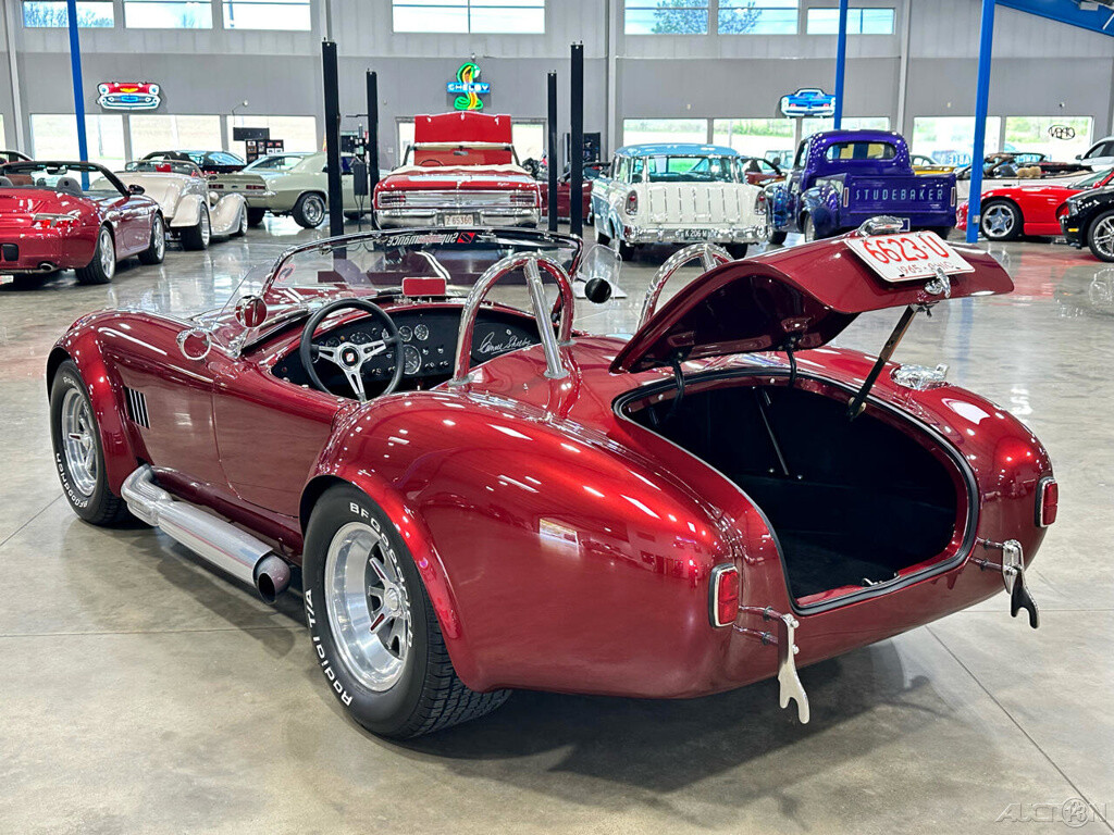 Ford-Shelby-Cobra-1965-Other-13
