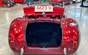 Ford-Shelby-Cobra-1965-Other-14