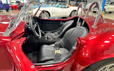 Ford-Shelby-Cobra-1965-Other-18