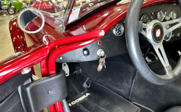 Ford-Shelby-Cobra-1965-Other-20
