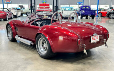 Ford-Shelby-Cobra-1965-Other-4