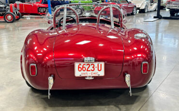 Ford-Shelby-Cobra-1965-Other-5