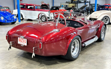 Ford-Shelby-Cobra-1965-Other-6