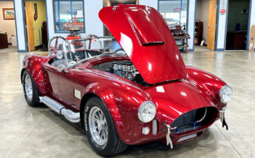 Ford-Shelby-Cobra-1965-Other-8