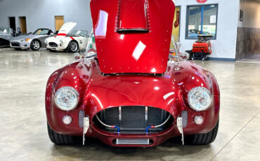 Ford-Shelby-Cobra-1965-Other-9