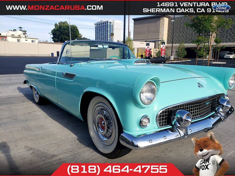Ford-T-bird-1955-22