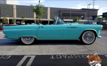 Ford-T-bird-1955-5