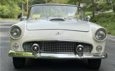 Ford-Thunderbird-1955-1
