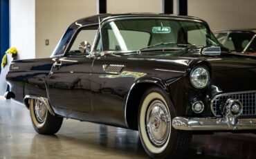 Ford-Thunderbird-1955-2-Door-Convertible-10