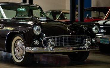 Ford-Thunderbird-1955-2-Door-Convertible-11
