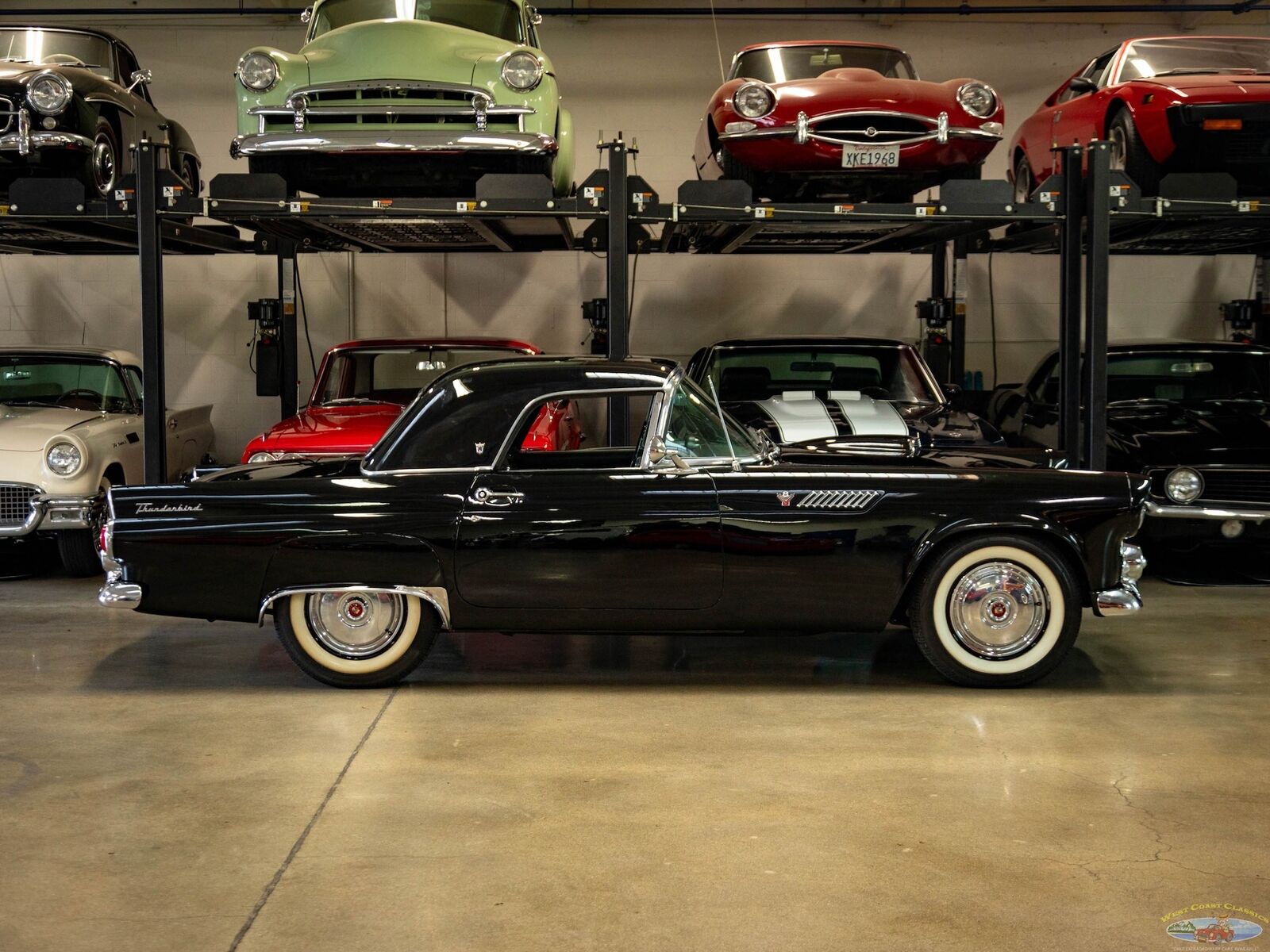 Ford-Thunderbird-1955-2-Door-Convertible-2