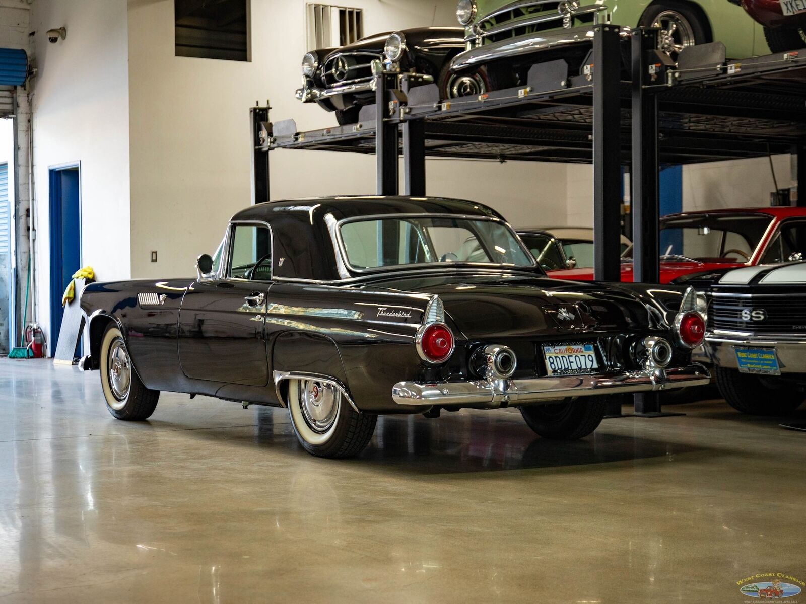 Ford-Thunderbird-1955-2-Door-Convertible-20