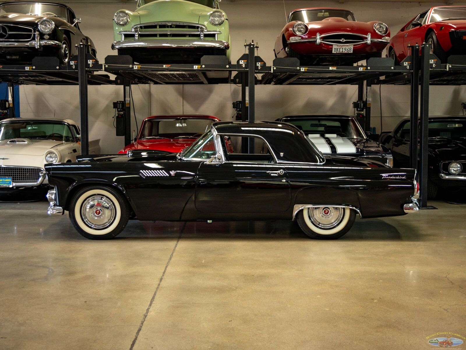 Ford-Thunderbird-1955-2-Door-Convertible-5
