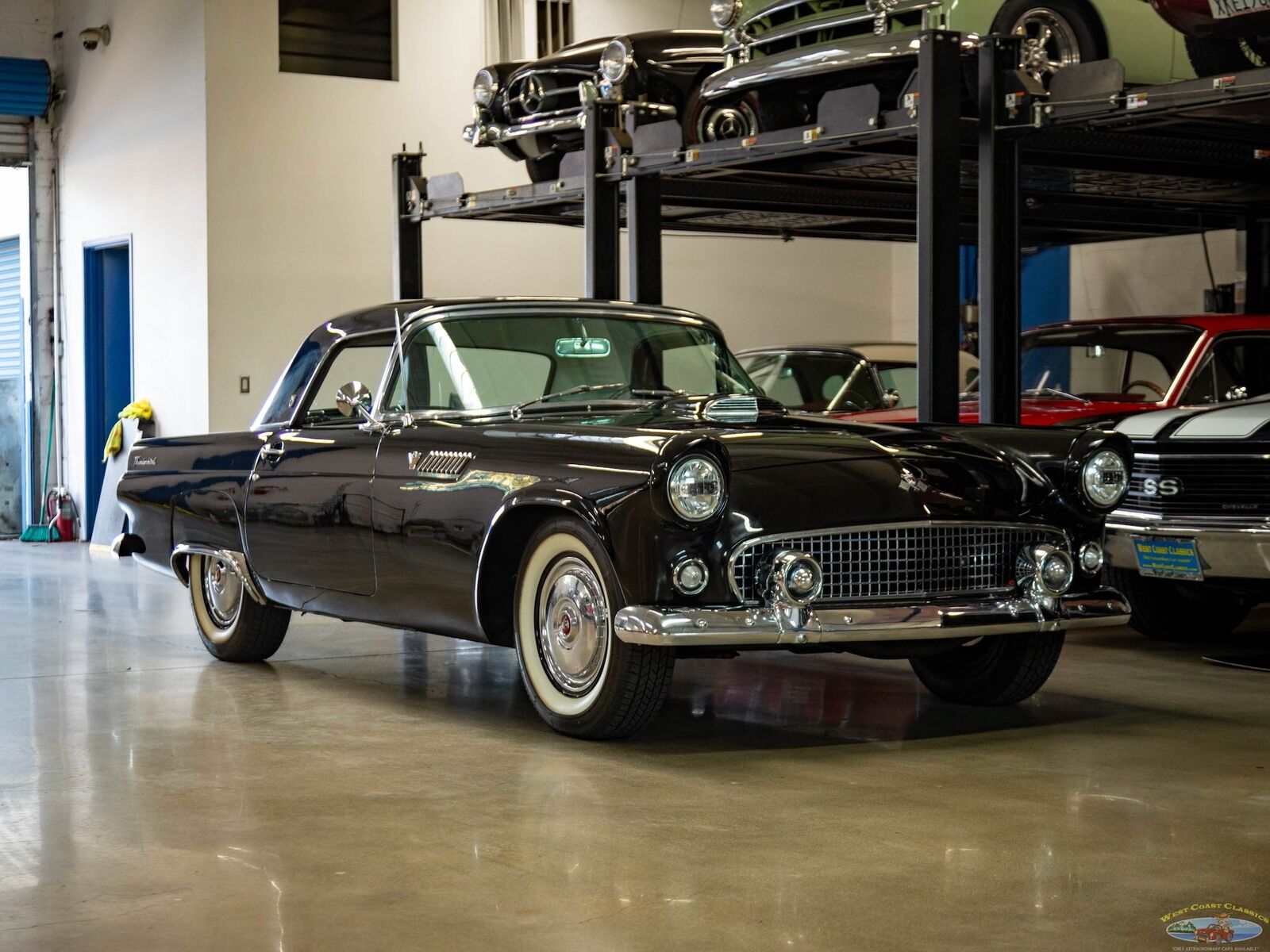 Ford-Thunderbird-1955-2-Door-Convertible-9