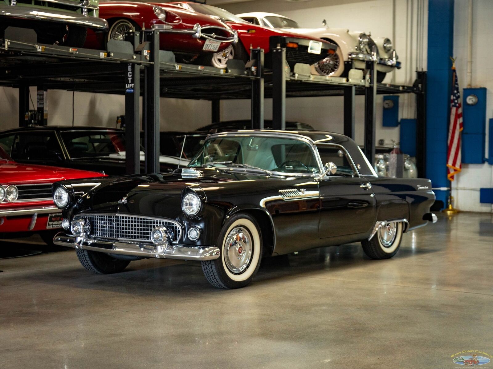 Ford-Thunderbird-1955-2-Door-Convertible