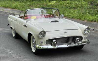 Ford Thunderbird 1955 --