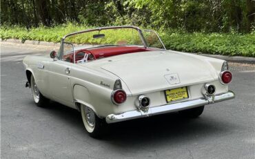 Ford-Thunderbird-1955-6
