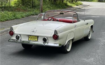 Ford-Thunderbird-1955-8