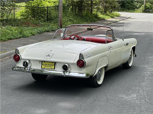 Ford-Thunderbird-1955-8