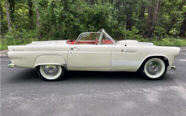 Ford-Thunderbird-1955-9
