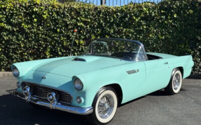 Ford Thunderbird 1955 Convertible