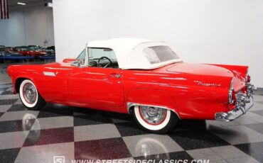 Ford-Thunderbird-1955-Convertible-8