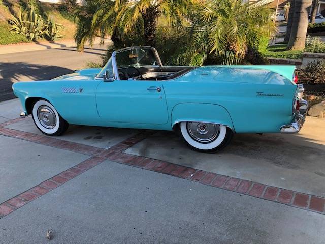 Ford Thunderbird  1955 blue