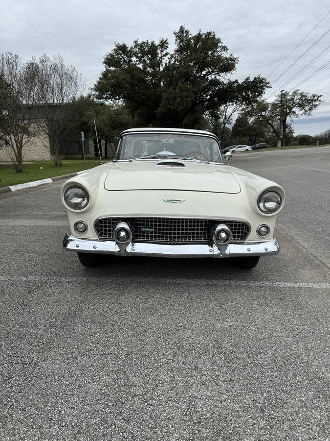Ford Thunderbird  1956 white