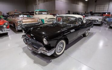 Ford-Thunderbird-1957-Convertible-28