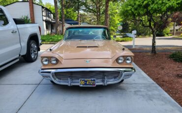 Ford-Thunderbird-1959-1