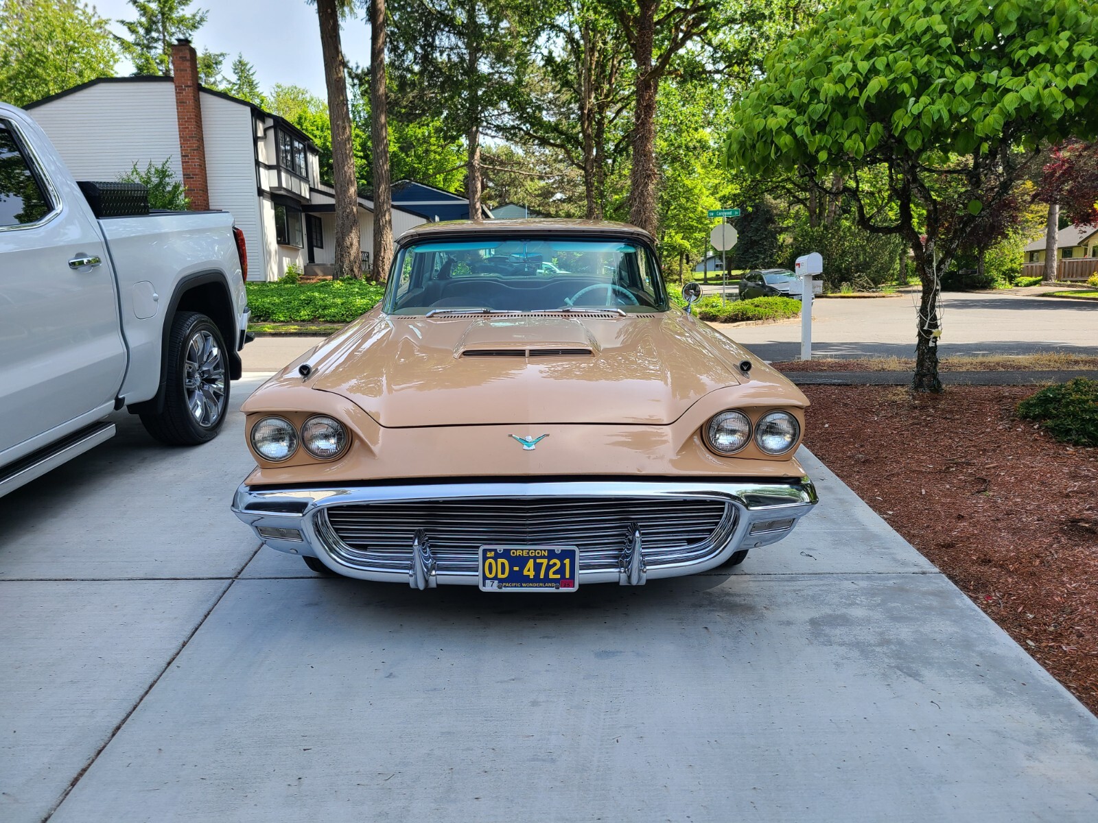 Ford-Thunderbird-1959-1