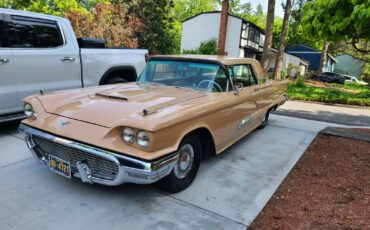 Ford-Thunderbird-1959-2