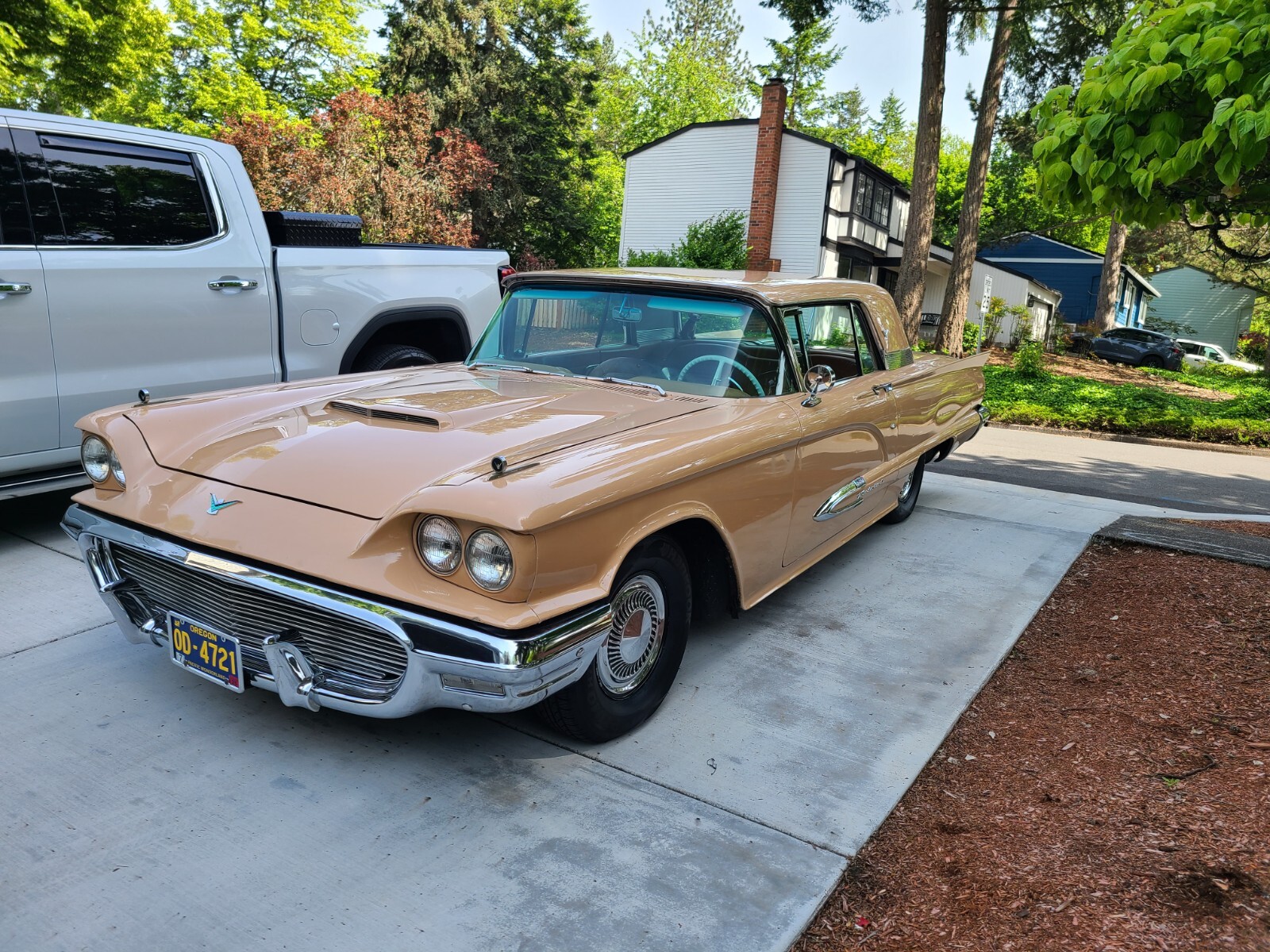 Ford-Thunderbird-1959-2