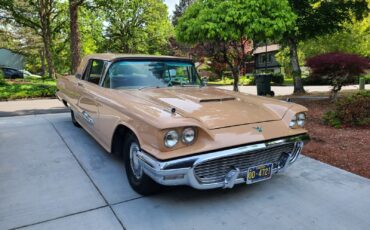 Ford-Thunderbird-1959-3
