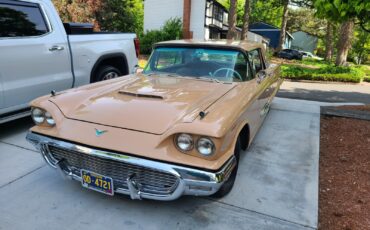 Ford-Thunderbird-1959-4