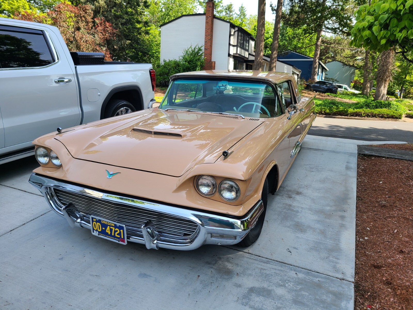 Ford-Thunderbird-1959-4