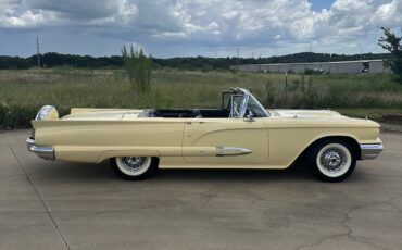 Ford-Thunderbird-1959-Convertible-5