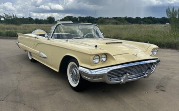 Ford-Thunderbird-1959-Convertible-6
