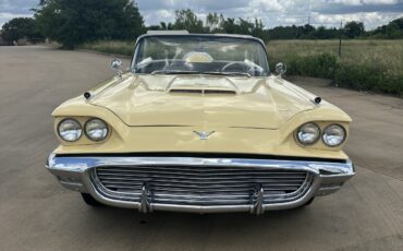 Ford-Thunderbird-1959-Convertible-7