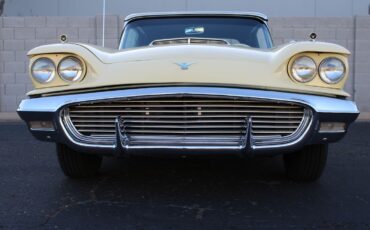 Ford-Thunderbird-1959-Convertible-9
