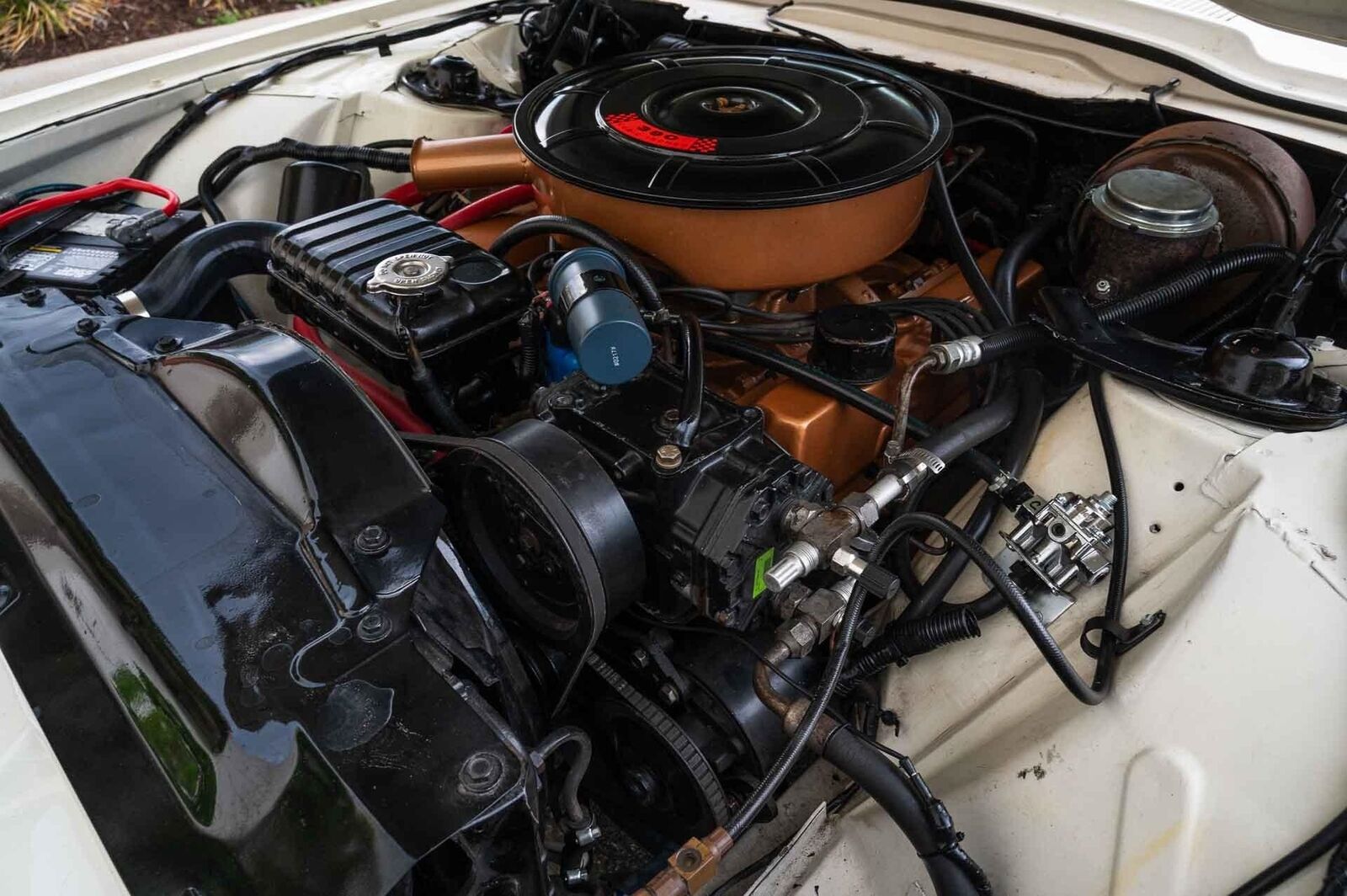 Ford-Thunderbird-1965-2-Door-15
