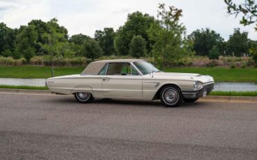 Ford-Thunderbird-1965-2-Door-39
