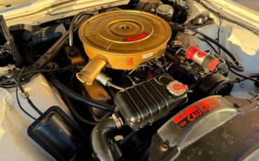 Ford-Thunderbird-1965-white-19