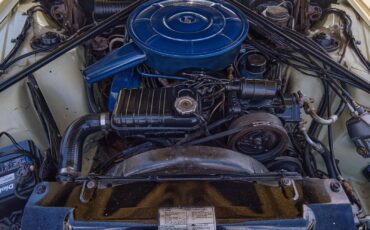 Ford-Thunderbird-1966-2-Door-10