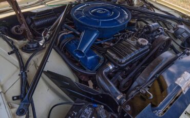 Ford-Thunderbird-1966-2-Door-11
