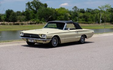 Ford-Thunderbird-1966-2-Door-19